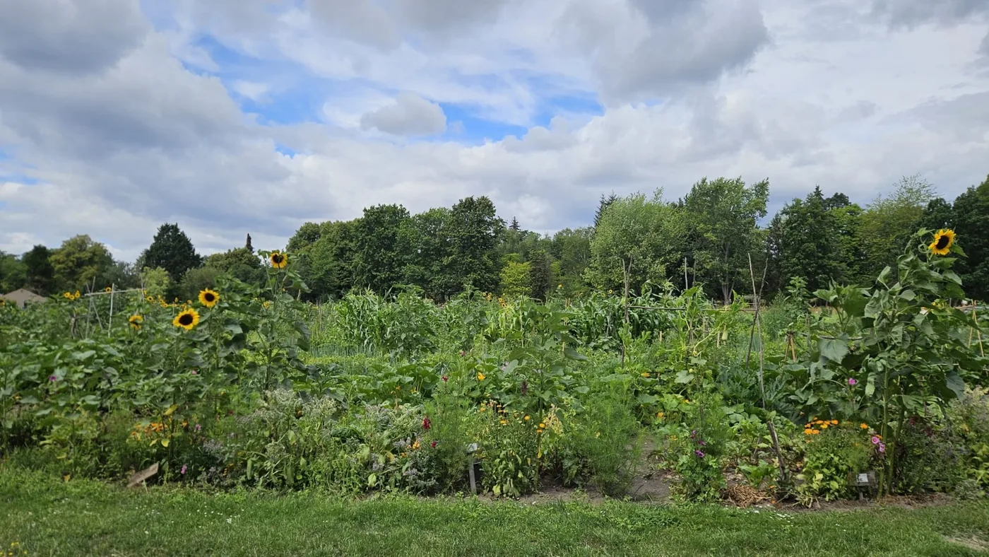 Weitläufiger Bauerngarten