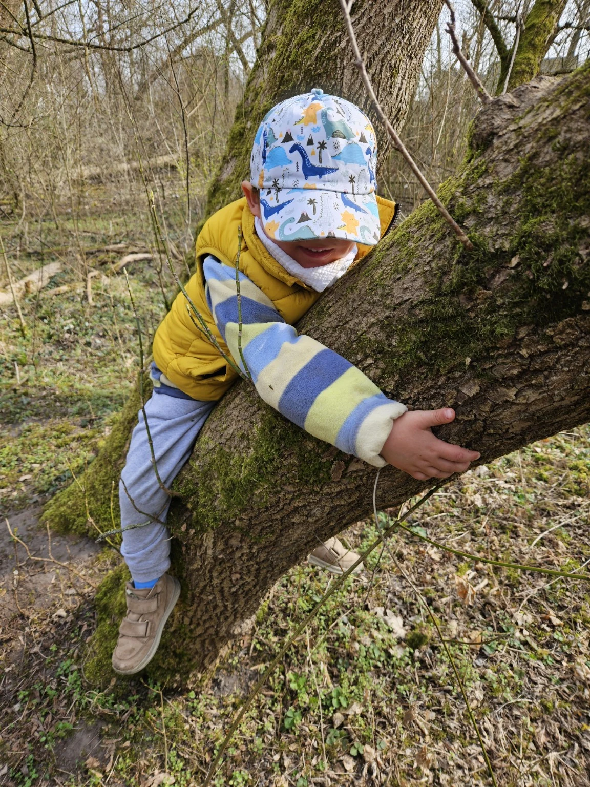 Kind klettert auf einen Baum im Wald