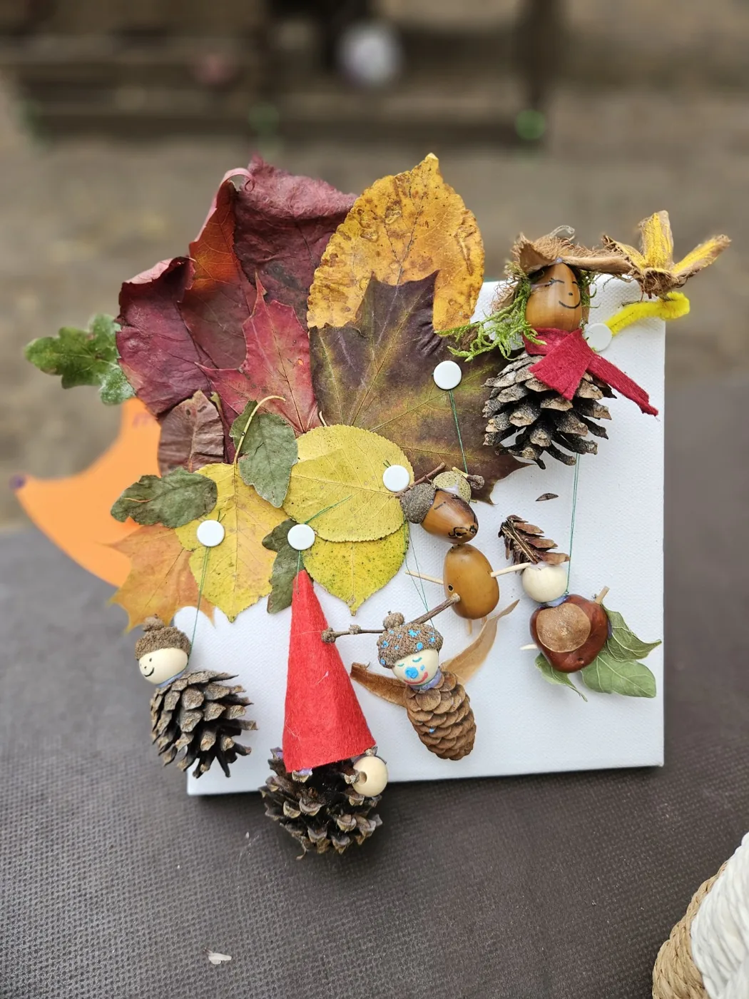 Naturprojekt
