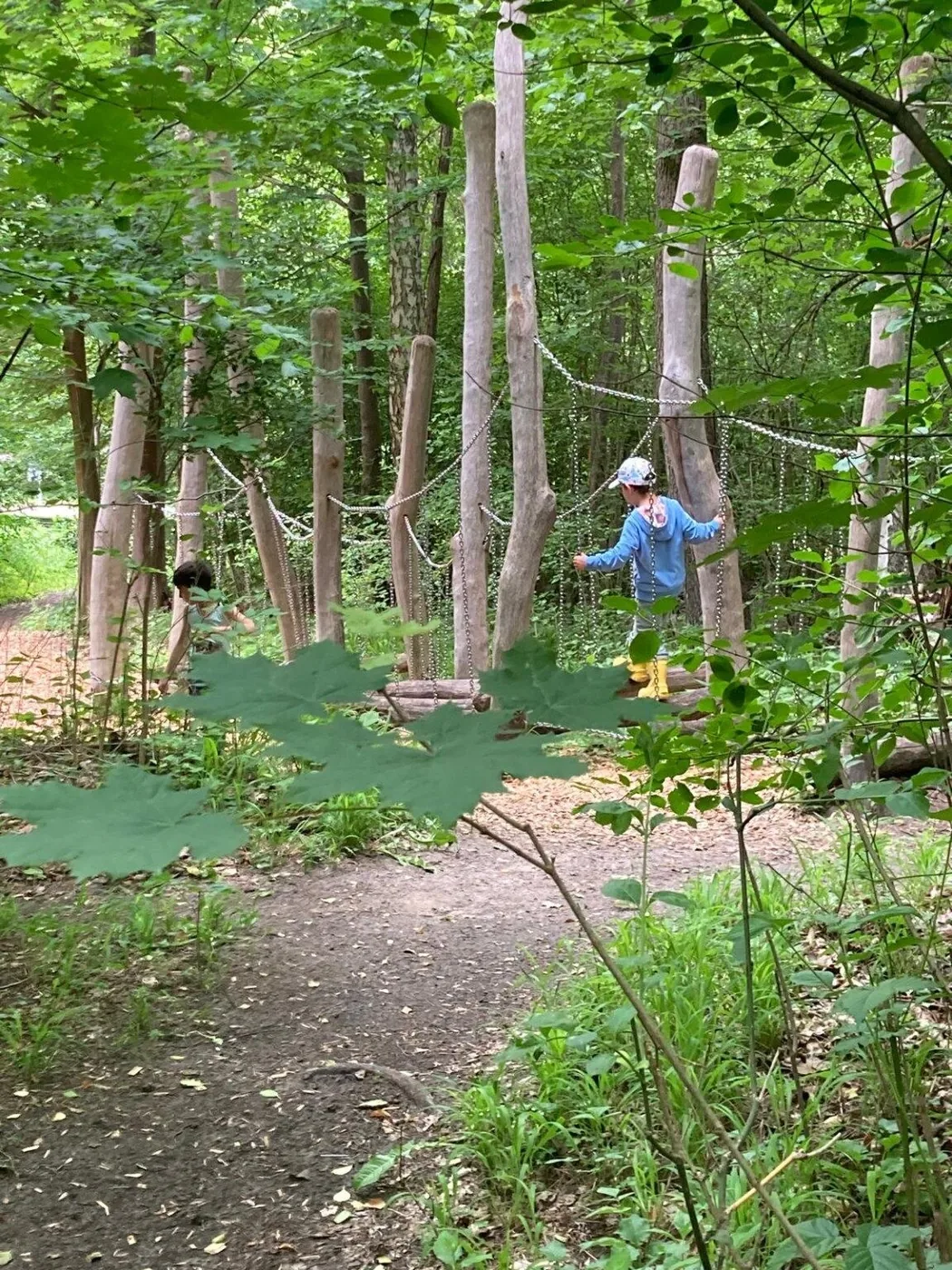 Balancieren im Wald
